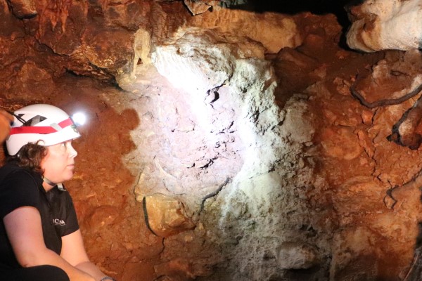 Dr. Hofmann, Friesenhahn Cave Coordinator