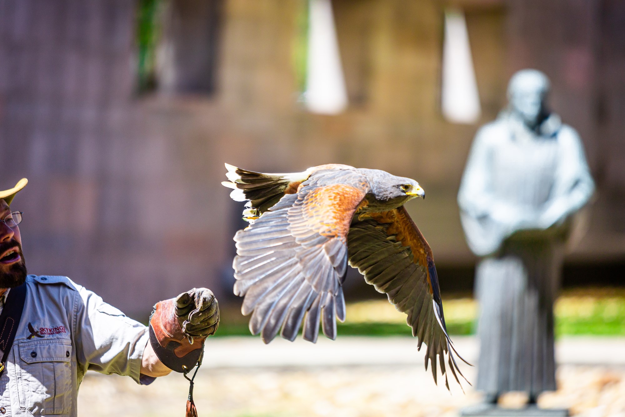 Raptor showcase in Luther Park