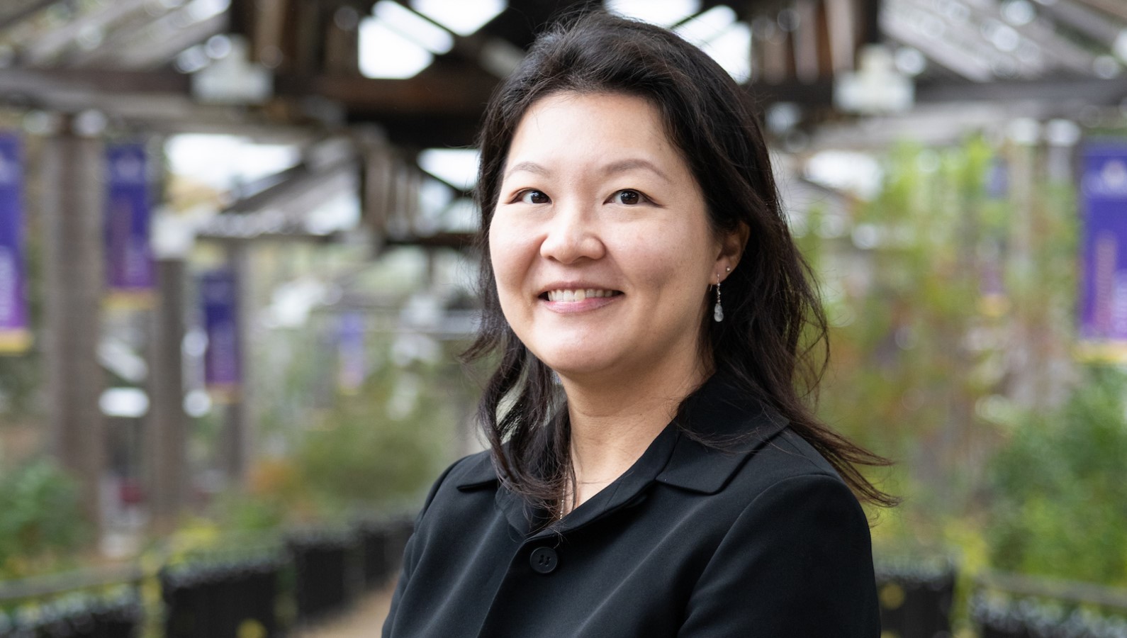 Monica Kang-Sasaki