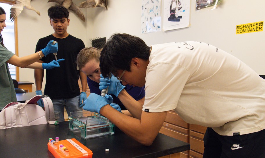 Concordia Texas students working on chemistry experiments