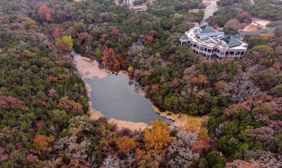 The natural preserve on Concordia Texas's campus