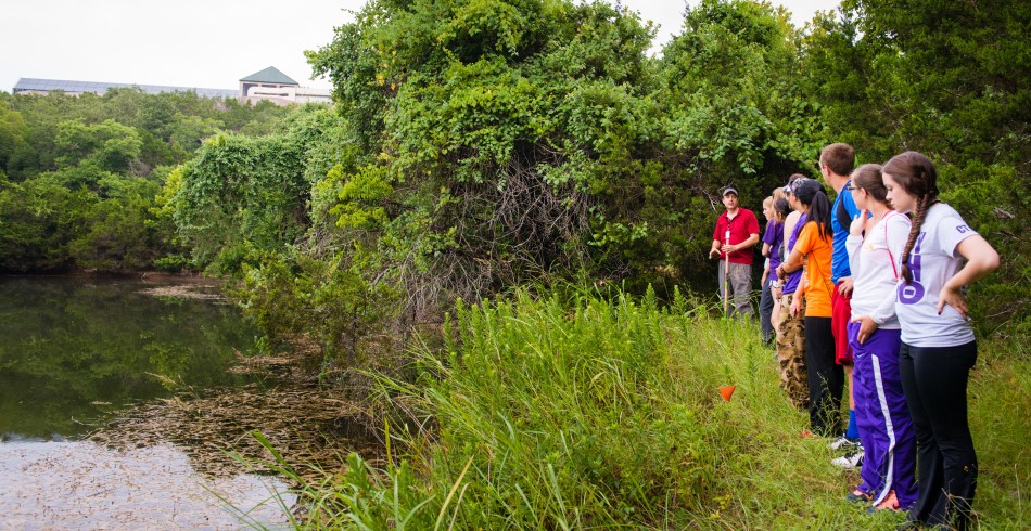 Environmental conservation in Concordia University's nature preserve