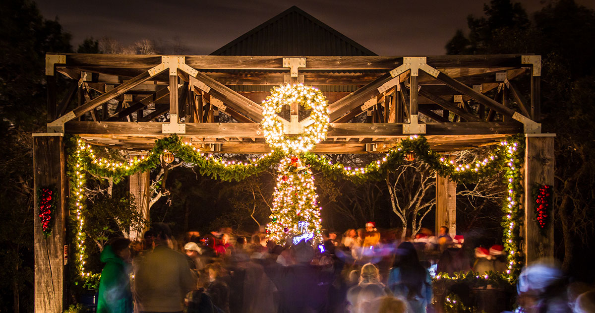 Christmas tree lighting