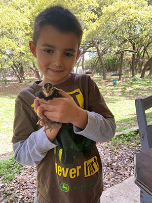 boy with chick