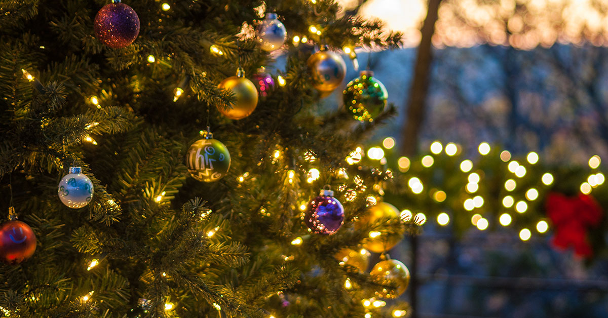 Christmas tree with lights