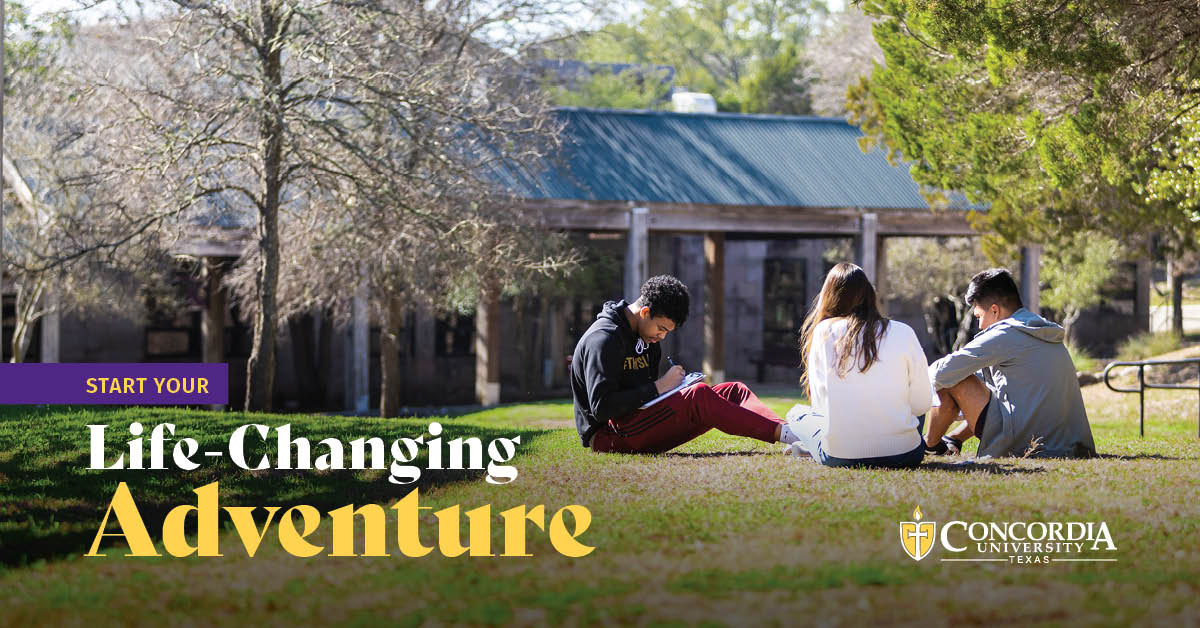 Students studying on grass