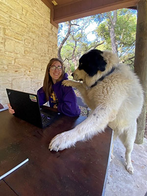 dog and woman on laptop
