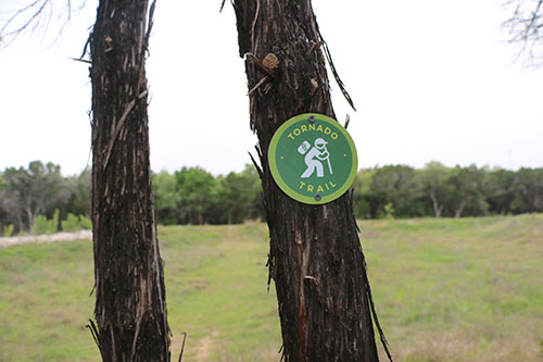 Tornado Trail tree marker