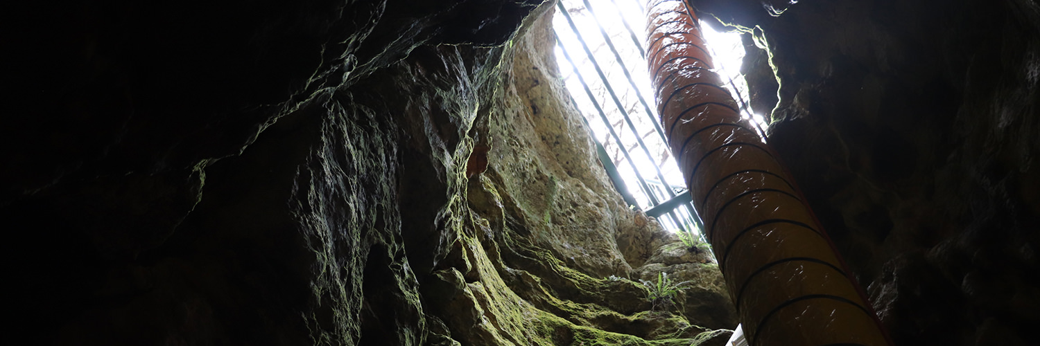 CTX Friesenhahn Cave Entrance