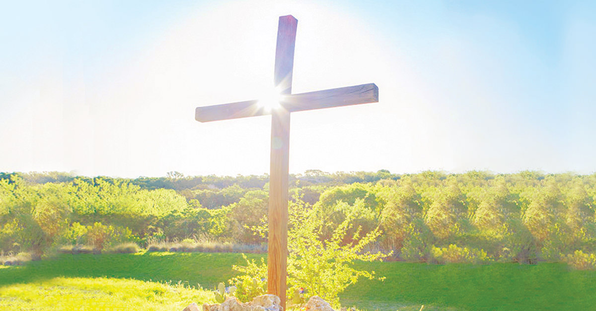 Cross in a Field