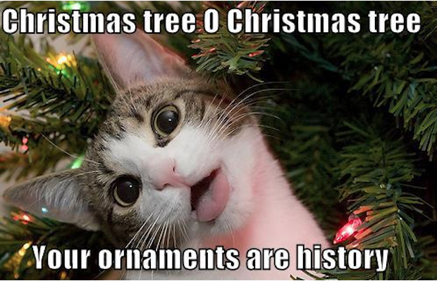 christmas tree