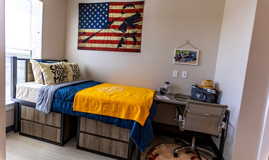 Well-decorated student room showing realistic move-in inspiration.
