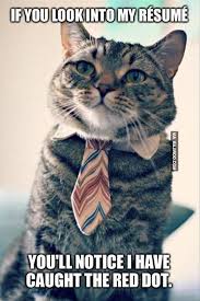 resume-swag