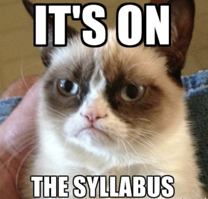 syllabus