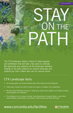 Stay on the Path poster