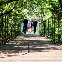 Outside Bridge