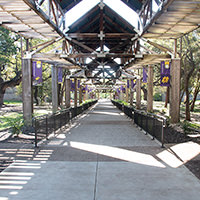 Walkway